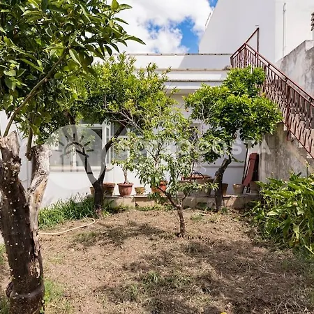 Borgo Flat - *