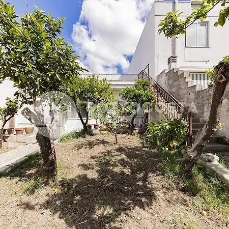 Borgo Flat - Borgagne